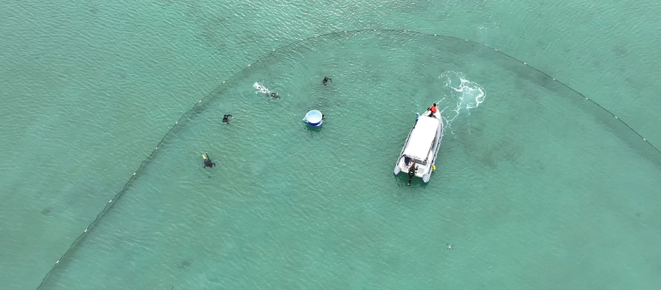 กรมทะเล ตรวจสุขภาพ-ปล่อยเต่าทะเล พร้อมติดอุปกรณ์ดาวเทียม