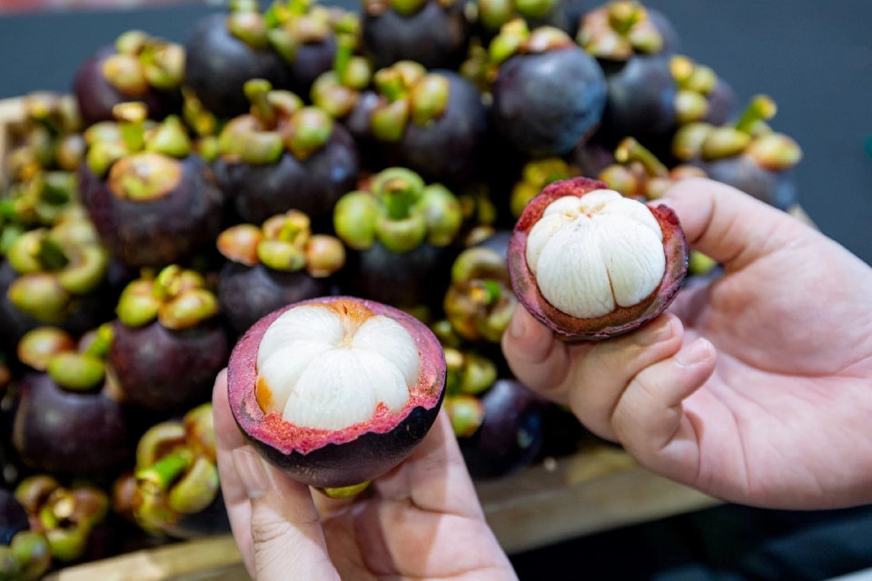 “ผลไม้ต้านมะเร็ง” ที่คนไทยมองข้าม หาง่าย ราคาถูก มีอะไรบ้าง