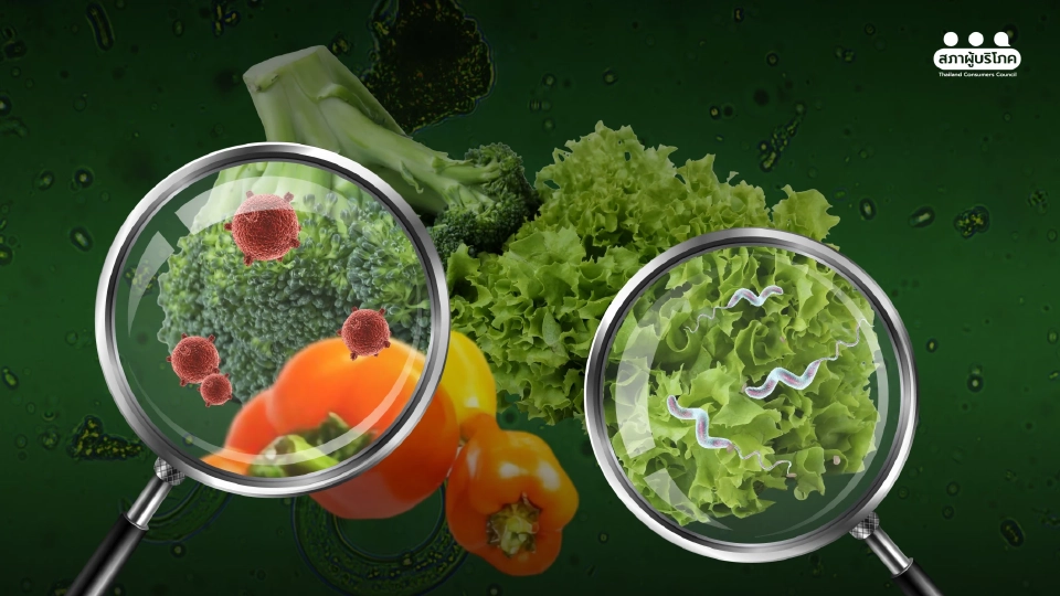 จี้รัฐ เร่งแก้ปัญหาหลังพบ “พยาธิในผักสด” ในตลาดสด กทม. สูงถึง 90%