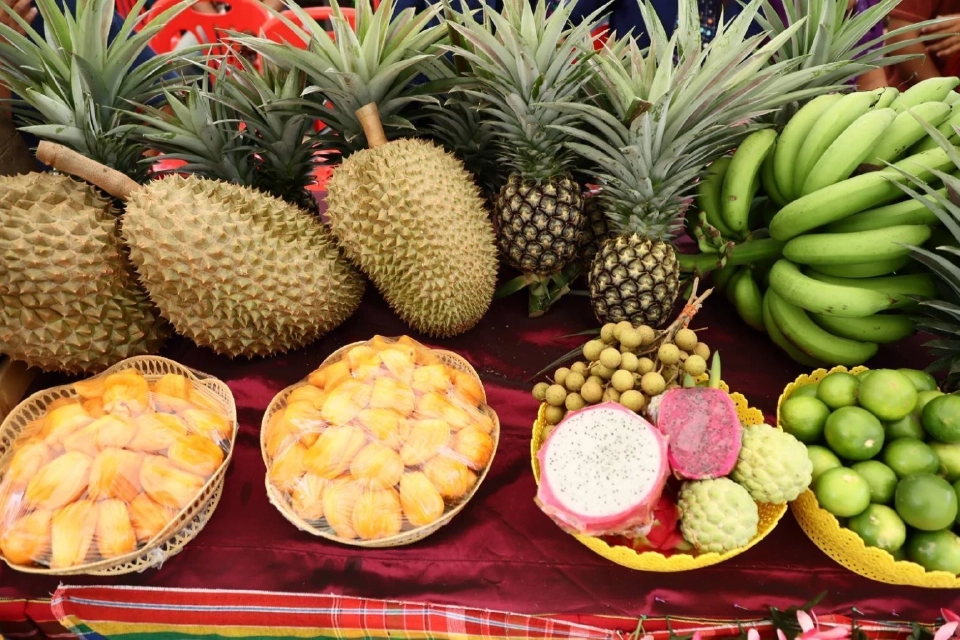 ชัยภูมิบูม! "ผลไม้เทือกเขาภูแลนคา" ขับเคลื่อนเศรษฐกิจท้องถิ่น