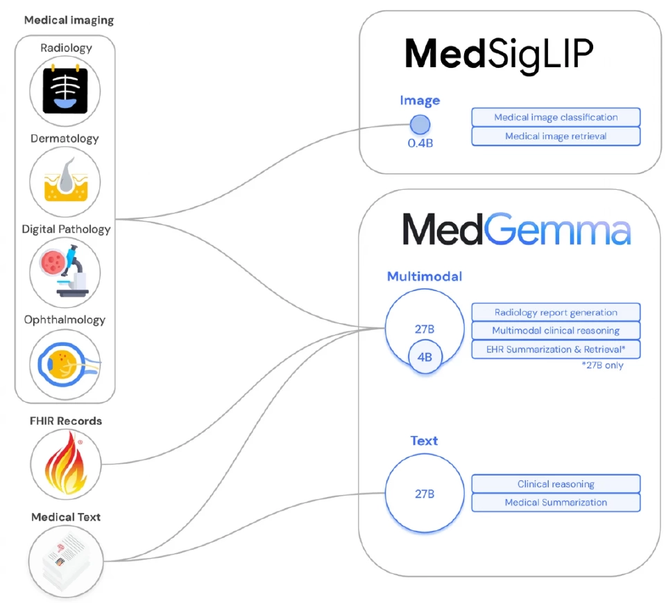 Google เปิดชุดโมเดลพัฒนา AI ด้านสุขภาพ  MedGemma - MedSigLIP