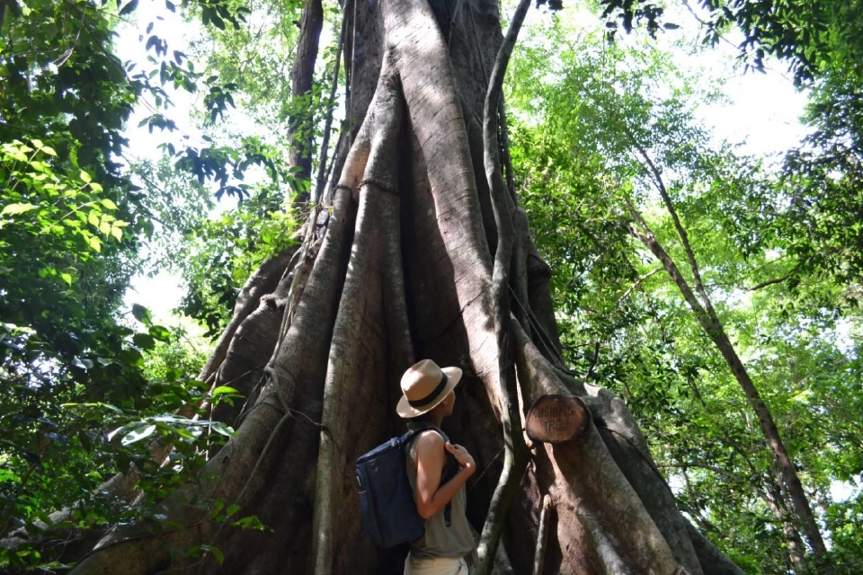 เจาะเทรนด์ใหม่ "นักท่องเที่ยวหรู" เน้นสุขภาวะและประสบการณ์เฉพาะตัว