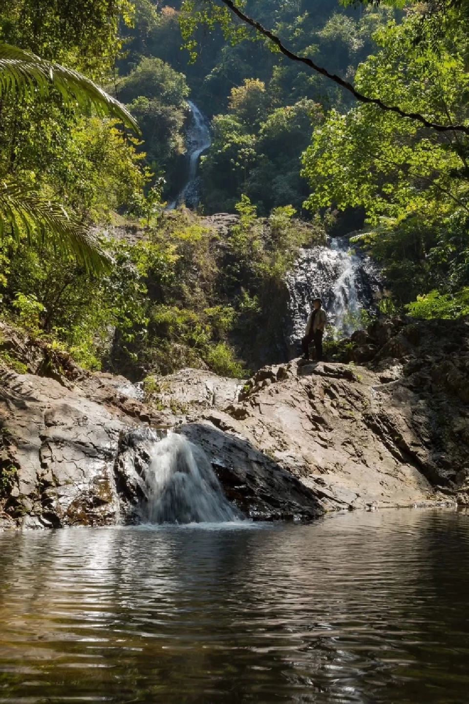 ททท.ชวนเที่ยวตามรอย Jurassic World Rebirth กระบี่ พังงา ตรัง