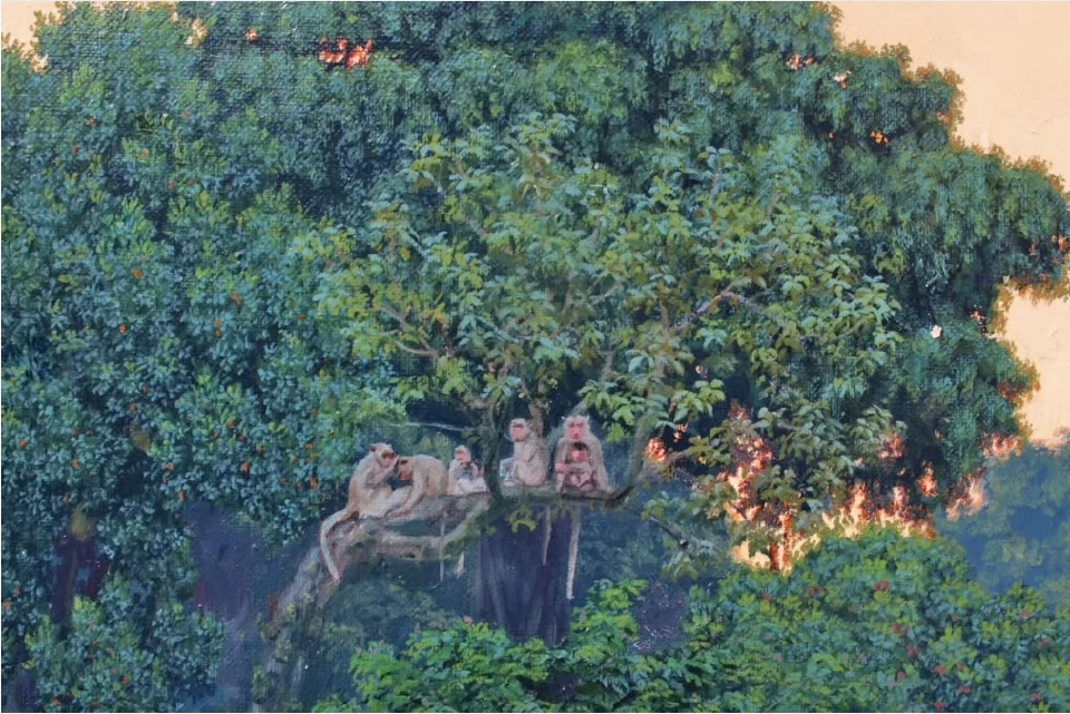 พฤกษาบำบัด และ ป่าเมืองไทย