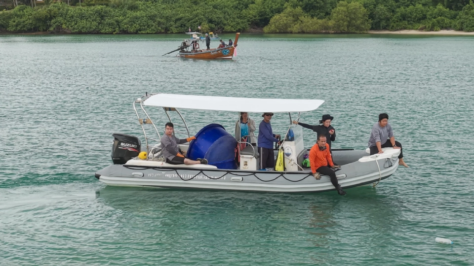 กรมทะเล ตรวจสุขภาพ-ปล่อยเต่าทะเล พร้อมติดอุปกรณ์ดาวเทียม