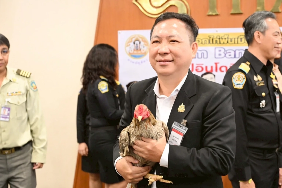 ข่าวดี! ไทยส่งออกไก่พื้นเมือง  ไปอินโดนีเซียครั้งแรกในประวัติศาสตร์