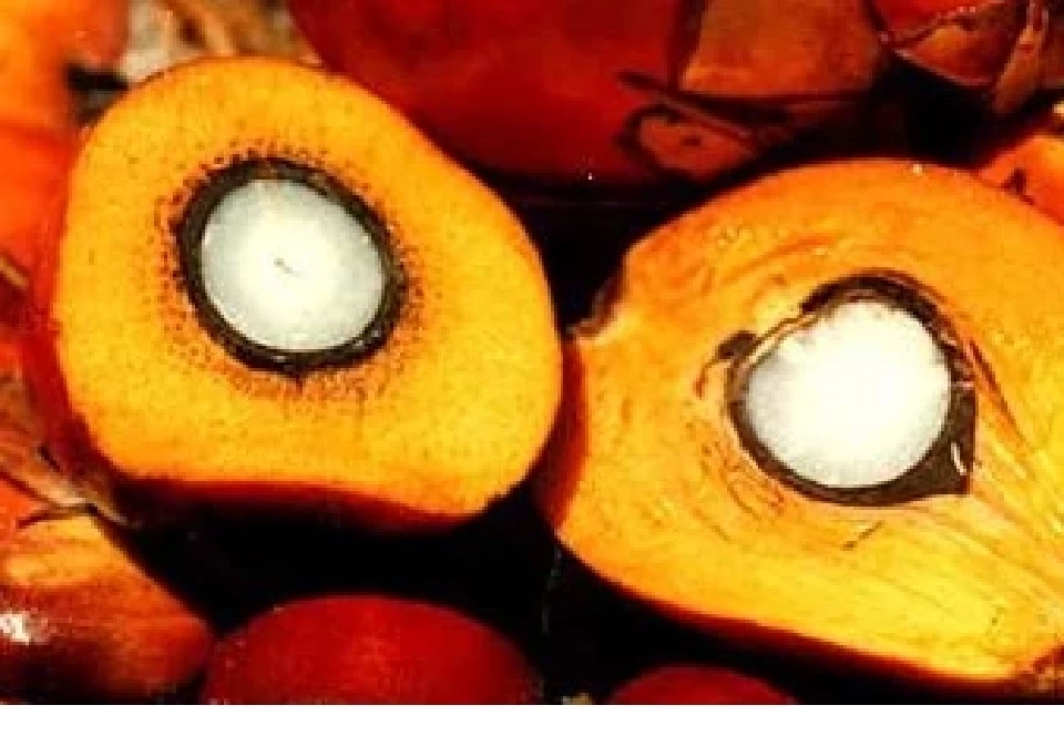 เปิดข้อเรียกร้องเกษตรกร รับ “อรรถกร” รมว.เกษตรฯ ป้ายแดง