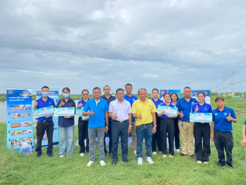 สมุทรสงครามปล่อยปลากะพงขาวกำจัด“ปลาหมอคางดำ”ในบ่อเลี้ยงหอย