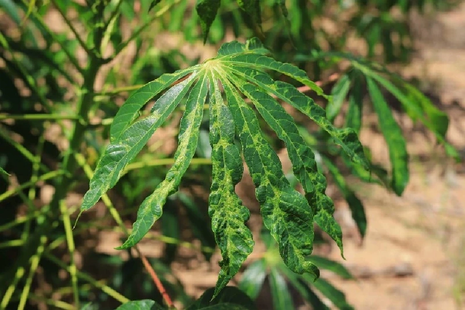 เปิดข้อเรียกร้องเกษตรกร รับ “อรรถกร” รมว.เกษตรฯ ป้ายแดง