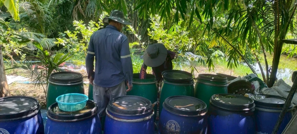 พัฒนาที่ดินเขต 12 เดินหน้ากำจัด “ปลาหมอคางดำ” 1 หมื่นกิโลฯ ดันใช้ผลิตน้ำหมักชีวภาพ