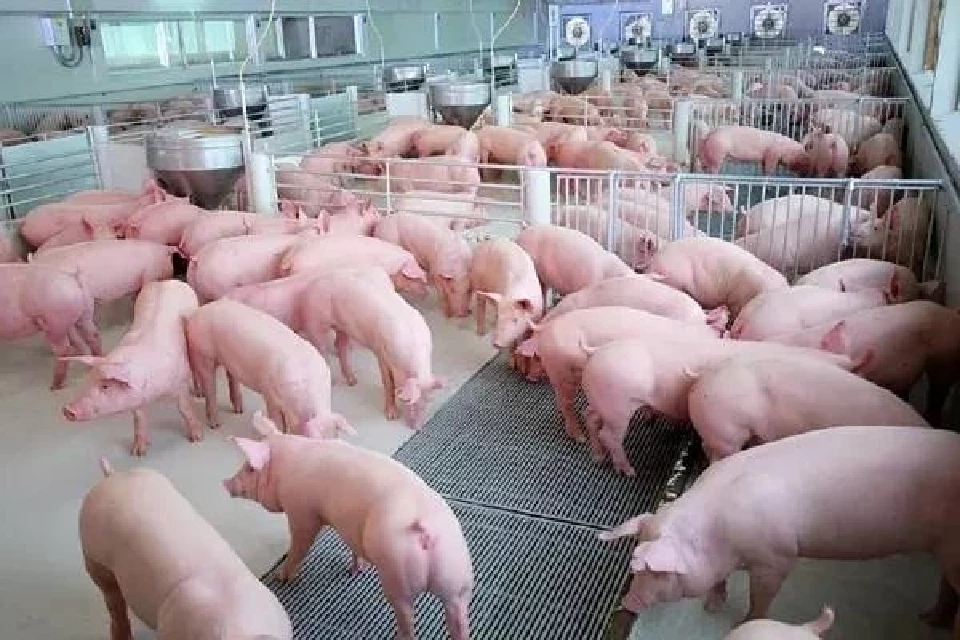 เปิดข้อเรียกร้องเกษตรกร รับ “อรรถกร” รมว.เกษตรฯ ป้ายแดง