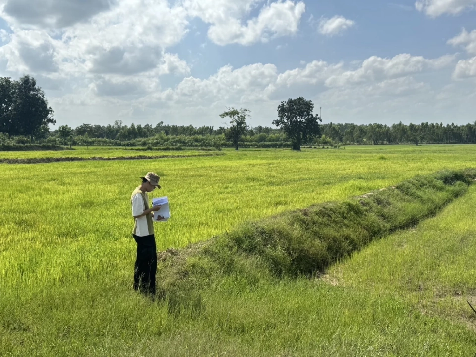 สศก. ลุยใช้ Machine Learning- AI แก้พื้นที่เพาะปลูกทับซ้อน เพิ่มแม่นยำเกษตรไทย