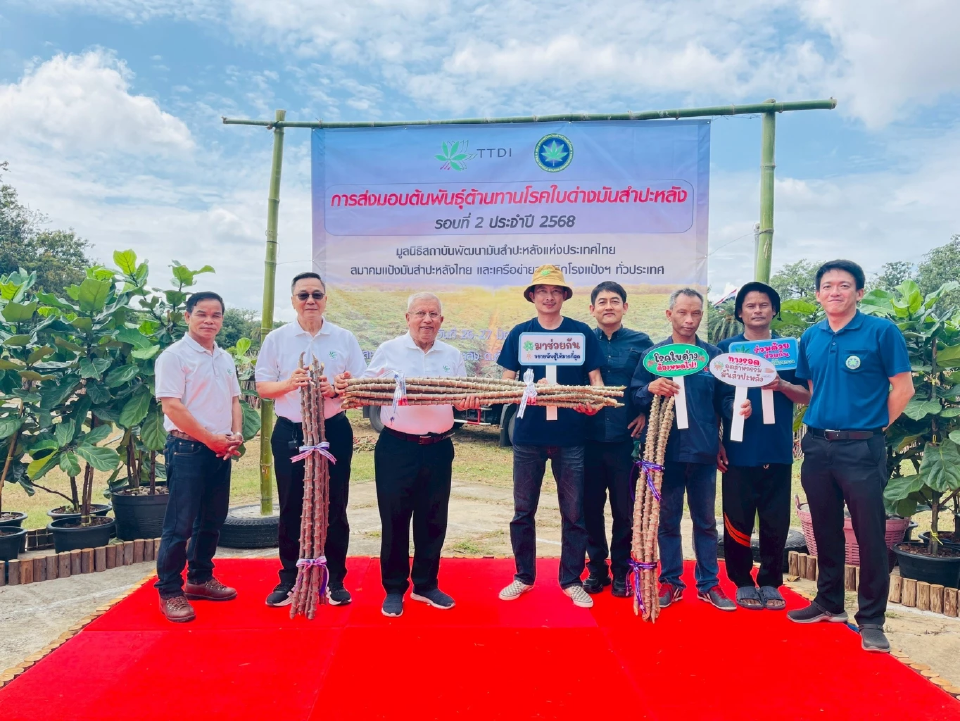 สมาคมโรงแป้งฯ รับท่อนพันธุ์ต้านโรคใบด่าง 7.2 แสนลำ กู้อุตฯ 3 แสนล้าน แจกเกษตรกร