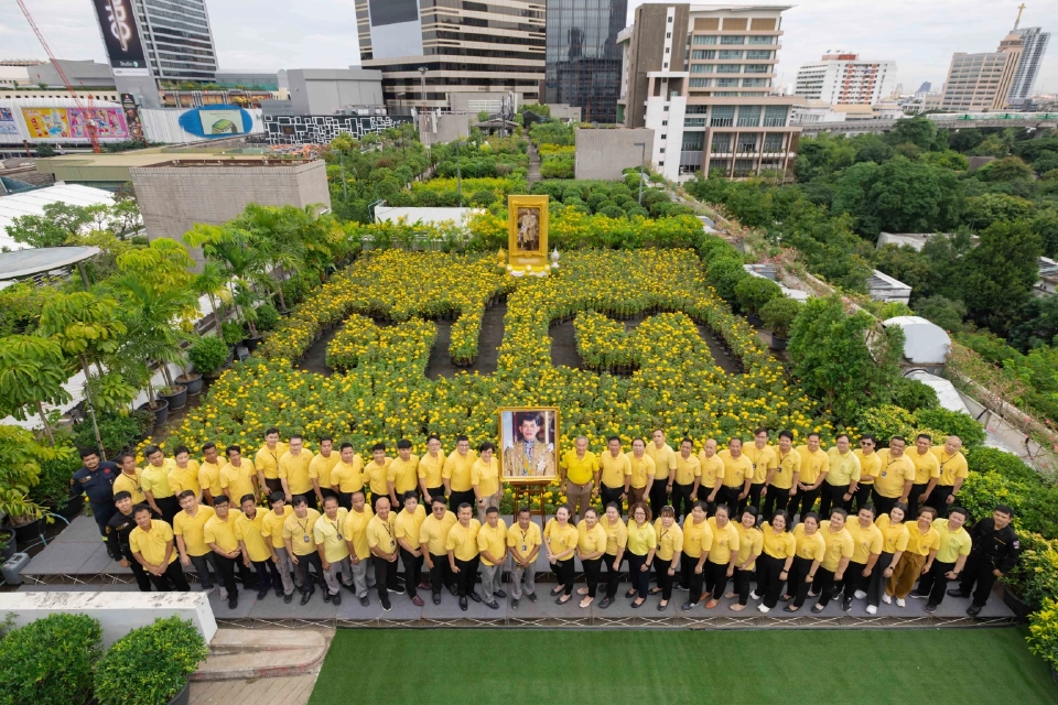 สยามพิวรรธน์ปลูกดาวเรือง 7,300 ต้น ถวายเฉลิมพระชนมพรรษา 73 พรรษา