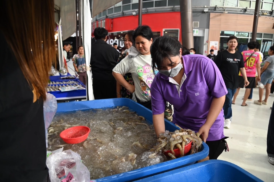 พาณิชย์ ลุยจัดเทศกาลกินกุ้งไทย 22 จังหวัด หนุนตลาด-ช่วยเกษตรกร