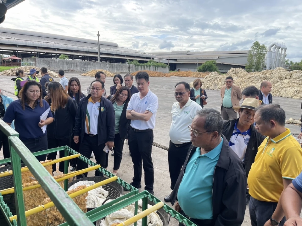 1 ส.ค. กยท.ลุยโปรเจ็กต์ซื้อยางเดือนละ 5 พันตัน ป้อนโรงงานแปรรูป