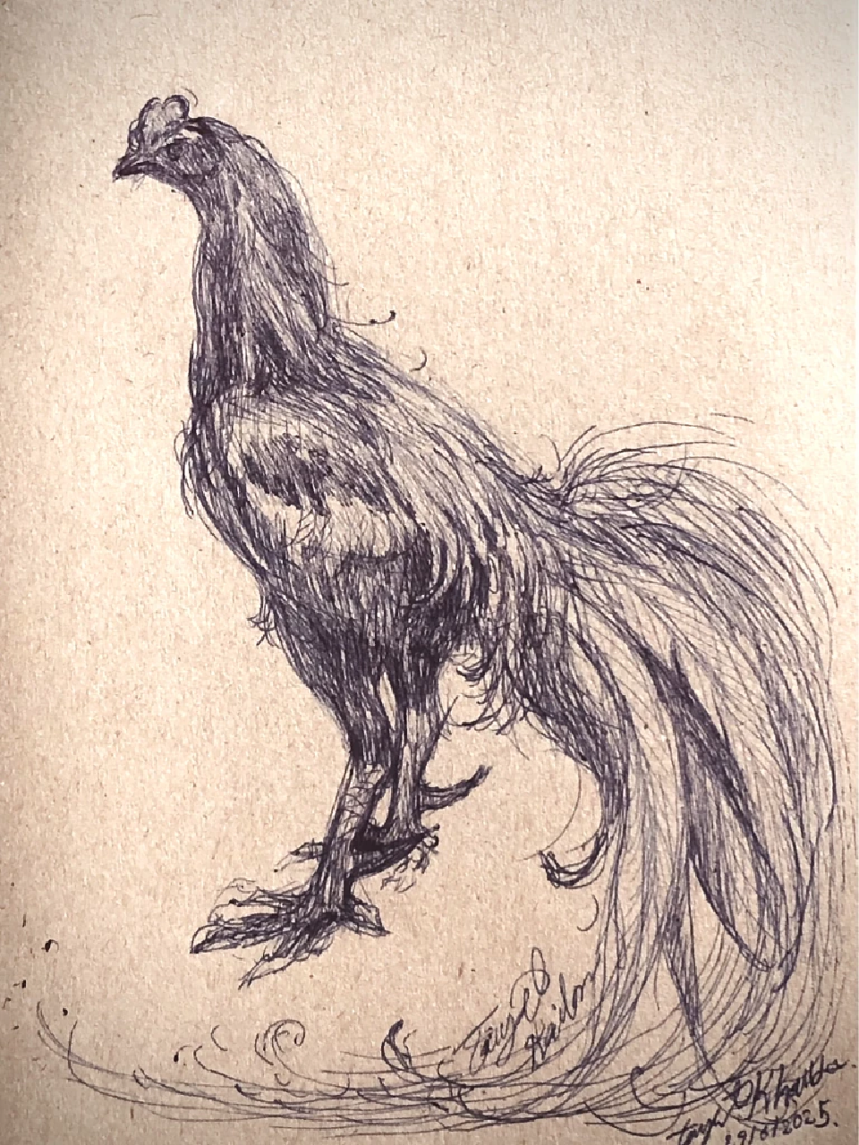 ไก่ชนสยาม