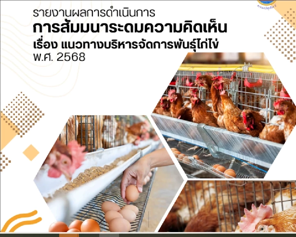 ดับฝัน 3 รายใหม่นำเข้าพ่อแม่พันธุ์ไก่ไข่ หลังบริษัทฉีกสัญญารับจ้างเลี้ยง
