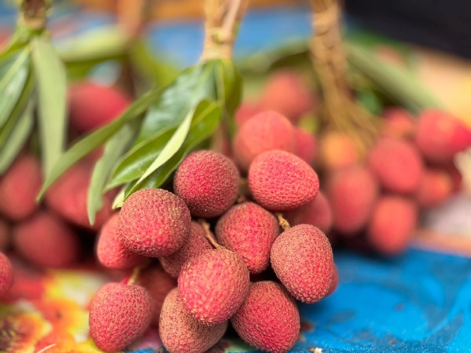 “ผลไม้ต้านมะเร็ง” ที่คนไทยมองข้าม หาง่าย ราคาถูก มีอะไรบ้าง