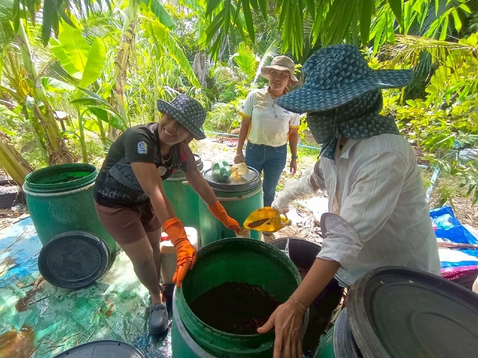 พัฒนาที่ดินเขต 12 เดินหน้ากำจัด “ปลาหมอคางดำ” 1 หมื่นกิโลฯ ดันใช้ผลิตน้ำหมักชีวภาพ