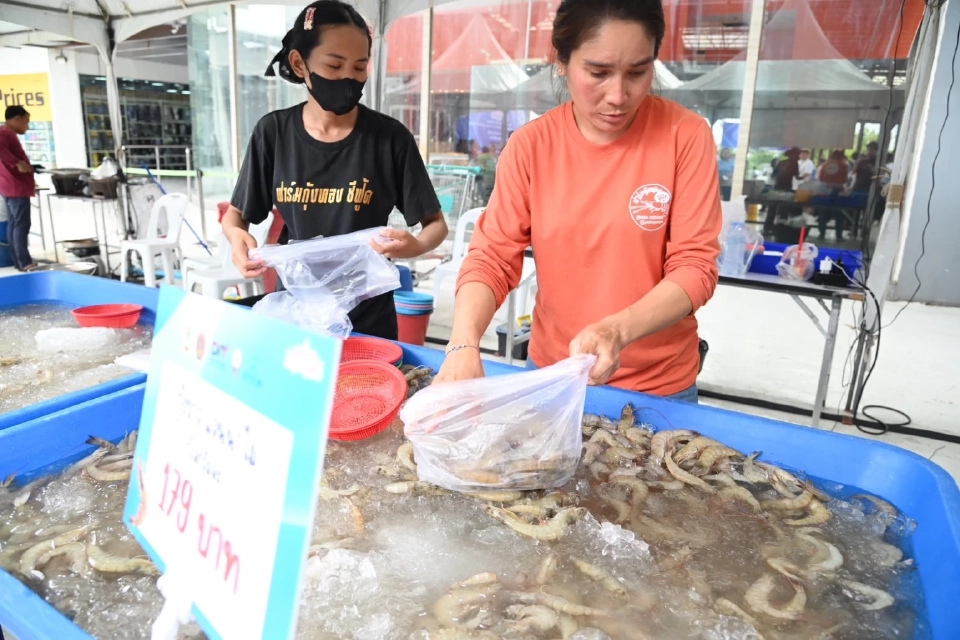 พาณิชย์ ลุยจัดเทศกาลกินกุ้งไทย 22 จังหวัด หนุนตลาด-ช่วยเกษตรกร