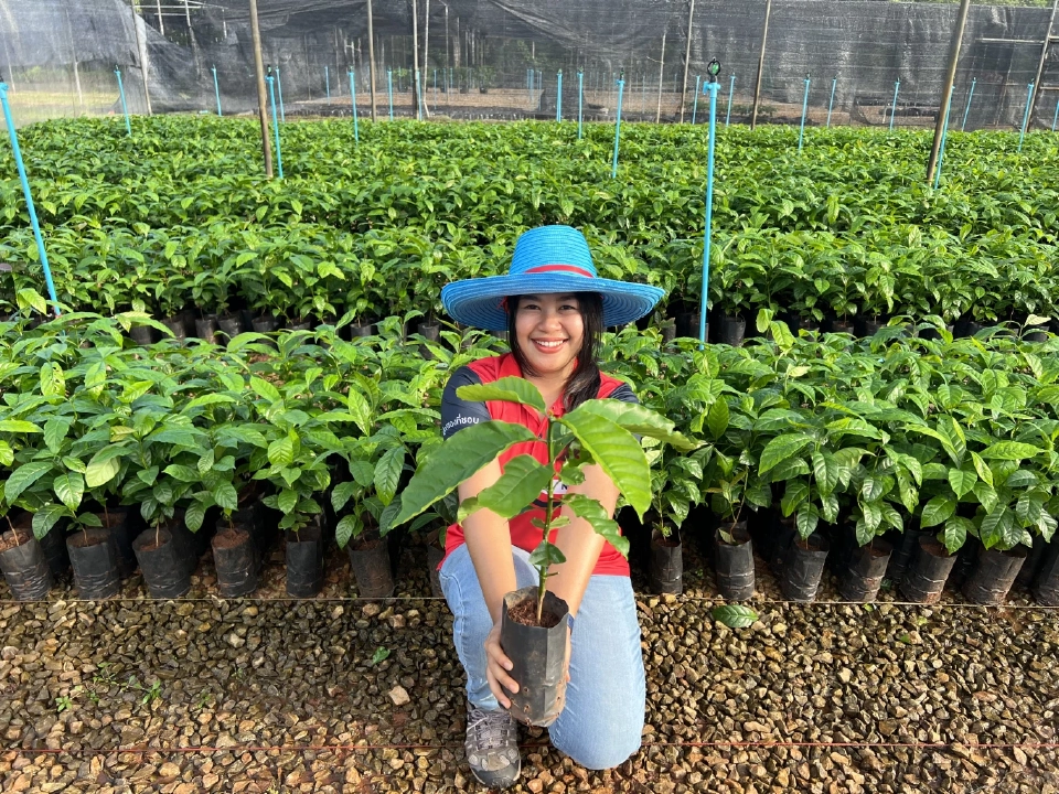 “เนสกาแฟ” มุ่งมั่นขับเคลื่อนอุตสาหกรรมกาแฟไทย สู่ความยั่งยืน จากต้นน้ำสู่มือผู้บริโภค