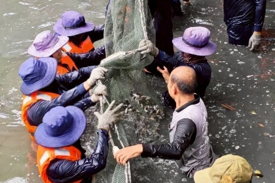 "หับเผยสมุทรปราการ" น้ำปลาจากปลาหมอคางดำ สู่ของดีคู่ครัวไทย
