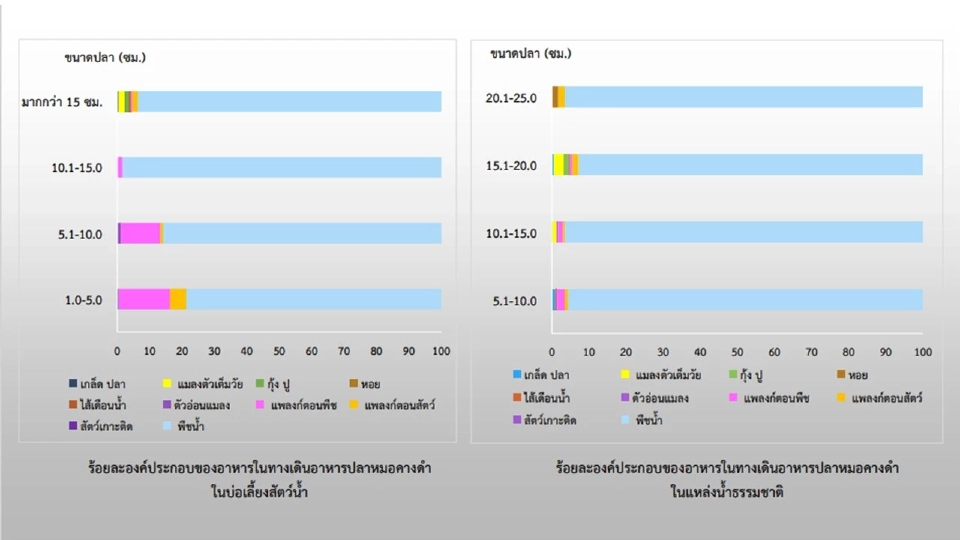 ปลาหมอคางดำ กินพืชเป็นส่วนใหญ่ รู้จักใหม่ "ผู้ร้ายจำเป็น" ในน้ำกร่อย
