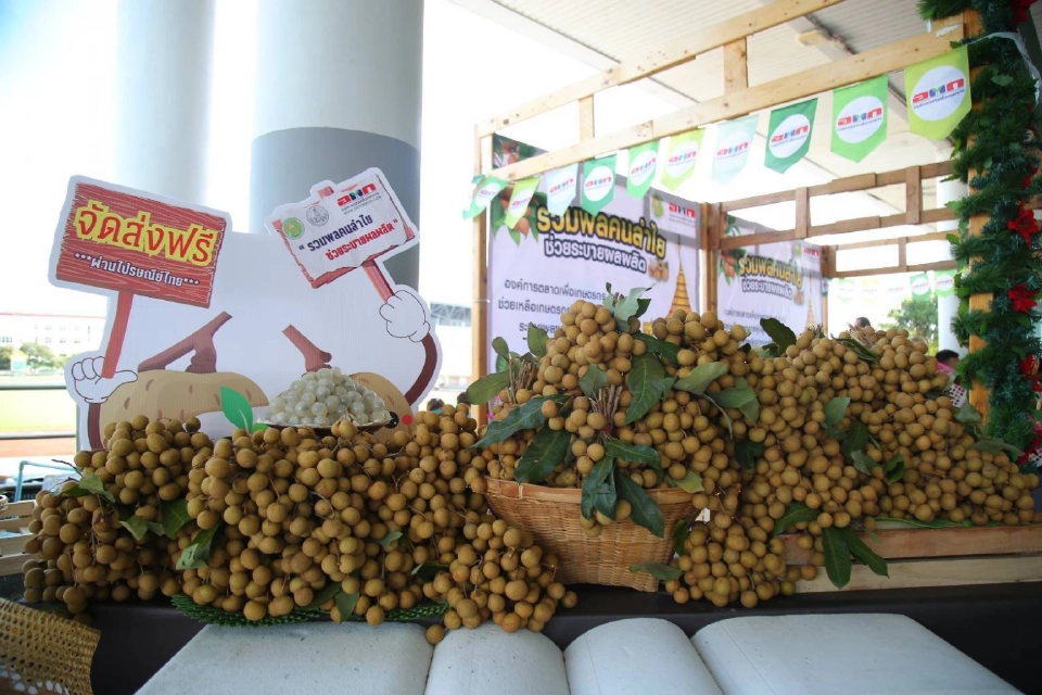 “อรรถกร” ไฟเขียว เงินช่วยเหลือชาวสวนลำไย ไร่ละ 1,400 บาท ไม่เกิน 10 ไร่