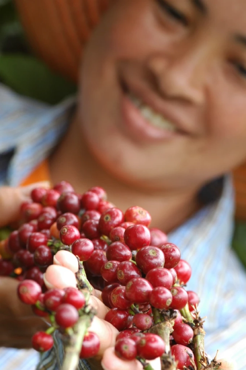 “เนสกาแฟ” มุ่งมั่นขับเคลื่อนอุตสาหกรรมกาแฟไทย สู่ความยั่งยืน จากต้นน้ำสู่มือผู้บริโภค