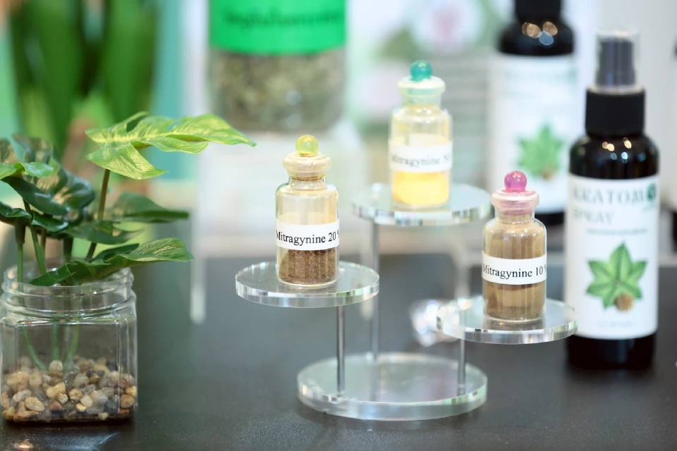 สธ. ปั้น กระท่อมไทย สู่ตลาดโลก ถ่ายทอดเทคโนโลยีสกัดสารผลิตเชิงพาณิชย์