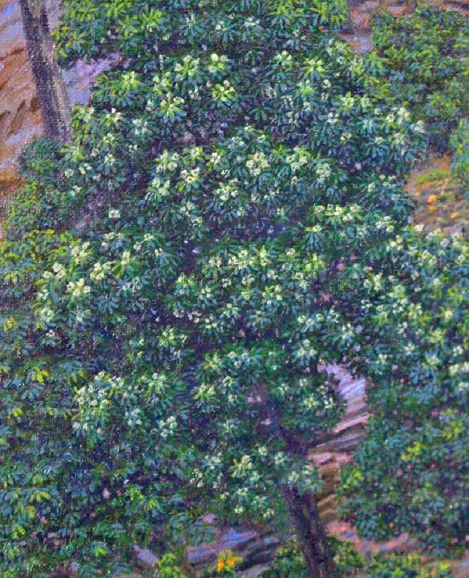 พฤกษาบำบัด และ ป่าเมืองไทย