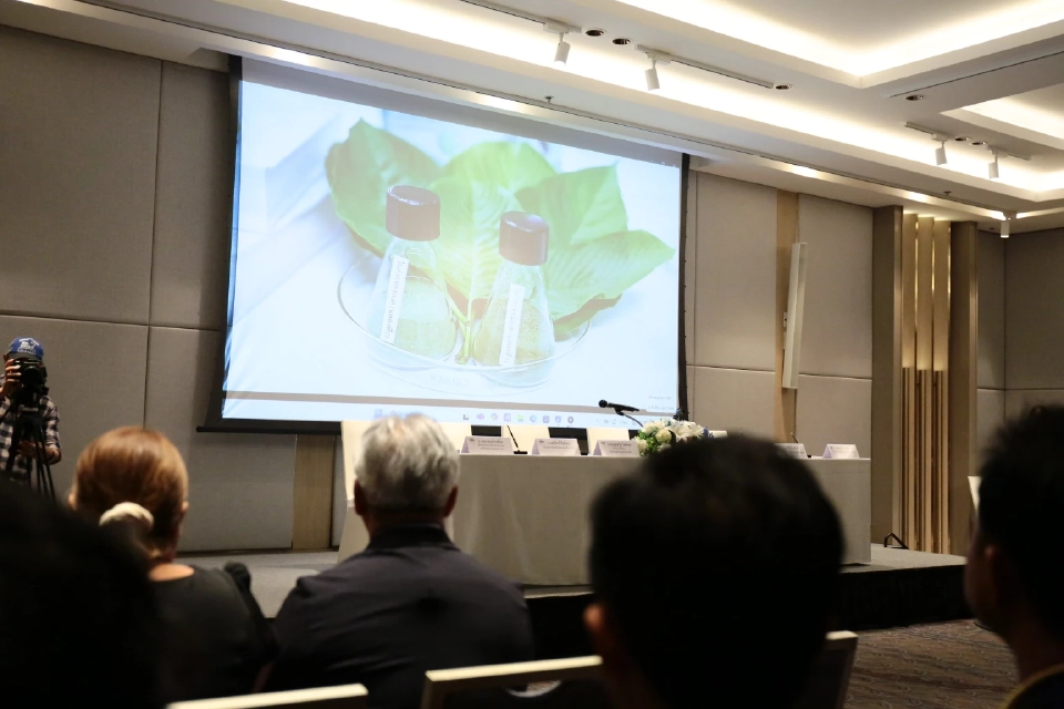 สธ. ปั้น กระท่อมไทย สู่ตลาดโลก ถ่ายทอดเทคโนโลยีสกัดสารผลิตเชิงพาณิชย์