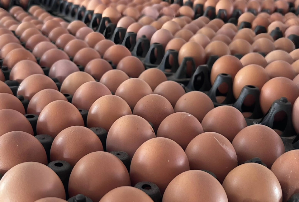 ภาษีทรัมป์ “ทีดีอาร์ไอ” ชี้อย่าหวังการค้า วิน-วิน ยิ่งช้า ยิ่งเสียเปรียบ