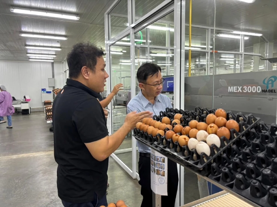 ซีพีเอฟดัน SME ไทยสู่ธุรกิจคาร์บอนต่ำ เสริมแกร่งแข่งตลาดโลก