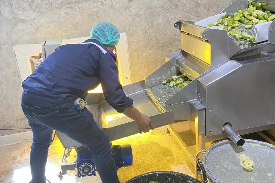 ซีพีเอฟดัน SME ไทยสู่ธุรกิจคาร์บอนต่ำ เสริมแกร่งแข่งตลาดโลก