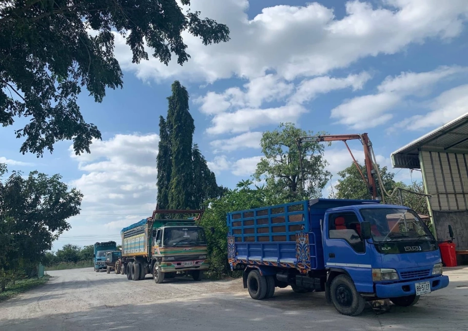 “กรุงเทพโปรดิ๊วส”เปิดรับซื้อข้าวโพดเลี้ยงสัตว์ทั่วประเทศ