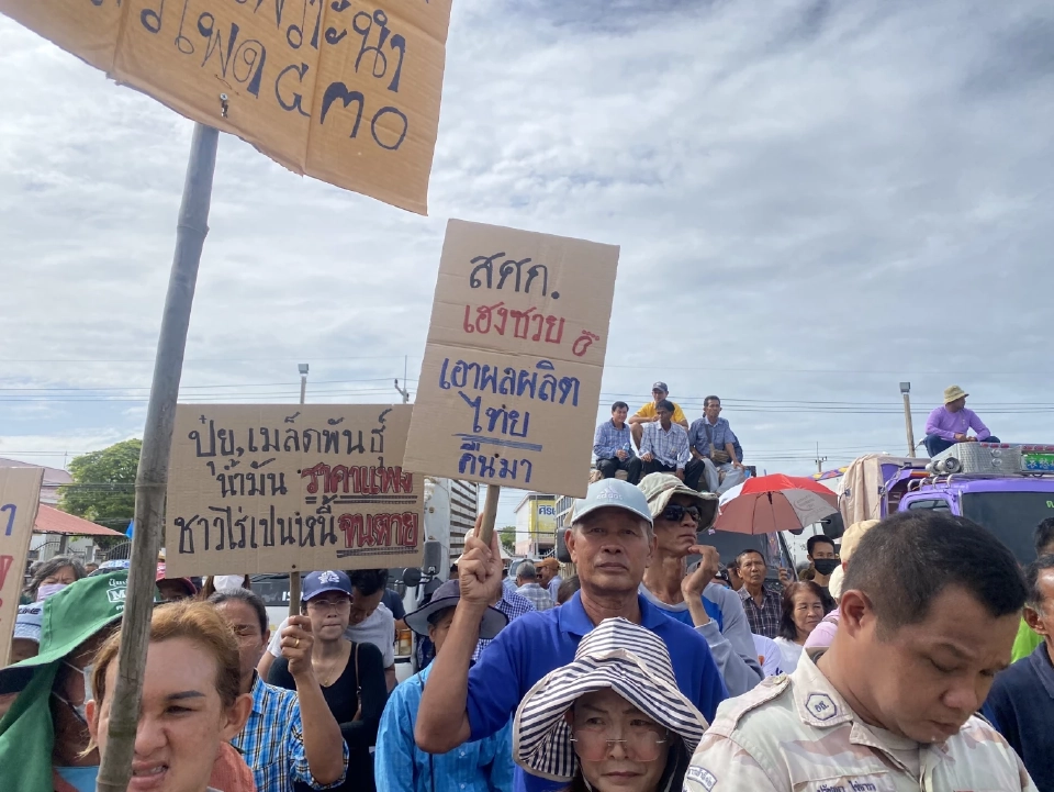 เริ่มแล้ว! ชาวไร่ข้าวโพดเพชรบูรณ์ปิดถนน  ยื่น 3 ข้อ เยียวยาภาษีทรัมป์