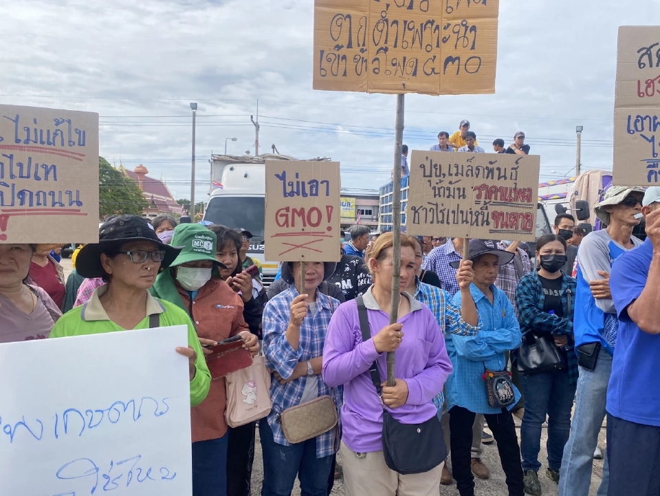 เริ่มแล้ว! ชาวไร่ข้าวโพดเพชรบูรณ์ปิดถนน  ยื่น 3 ข้อ เยียวยาภาษีทรัมป์