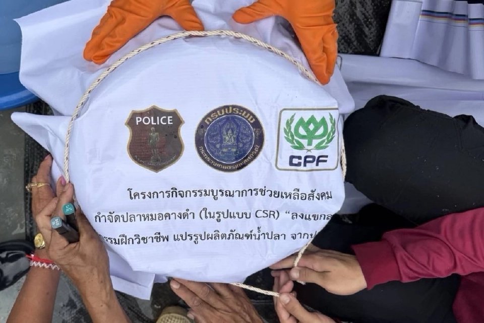 ตำรวจสมุทรสงครามผนึกซีพีเอฟแปรรูปน้ำปลาจาก “ปลาหมอคางดำ”