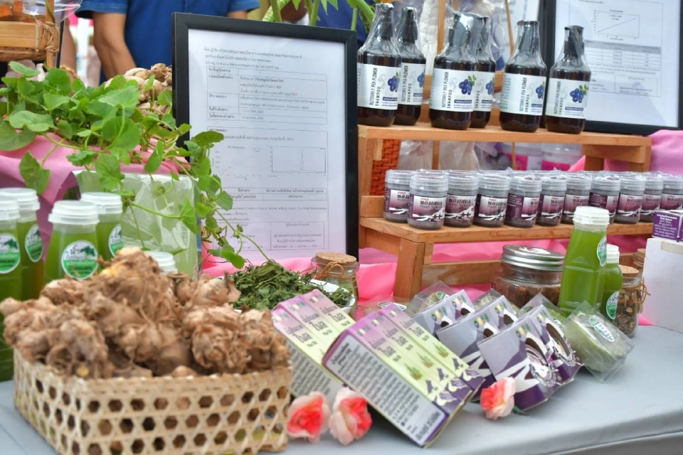 สธ. หนุนข้าว กข. 43 "คาร์บคุณภาพ" ค่าดัชนีน้ำตาลต่ำ ลดเสี่ยง NCDs