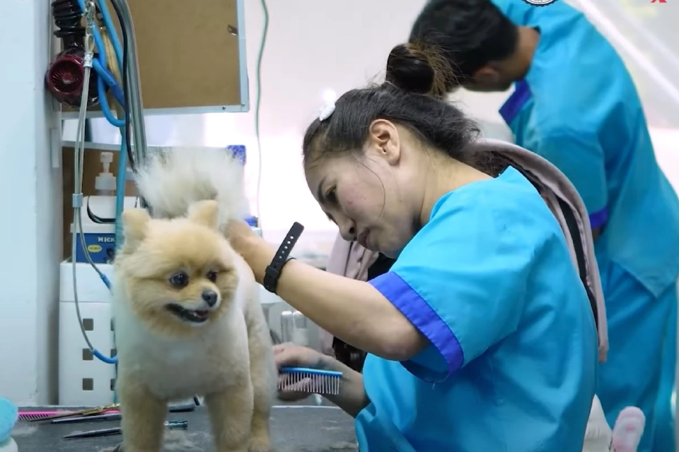 สคช. เปิดตัว 4 มาตรฐานอาชีพใหม่ รับยุคเศรษฐกิจดิจิทัล