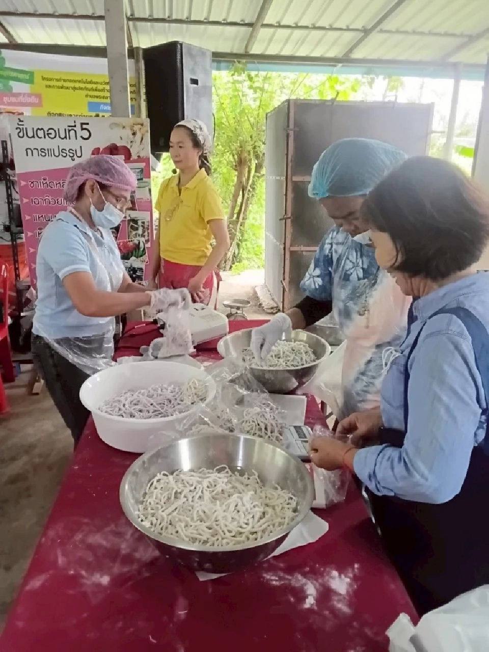 อธิบดีกรมวิชาการเกษตร ลุยฟื้นฟูเยียวยาเกษตรกรหลังน้ำท่วม มีรายได้เร็วสุด