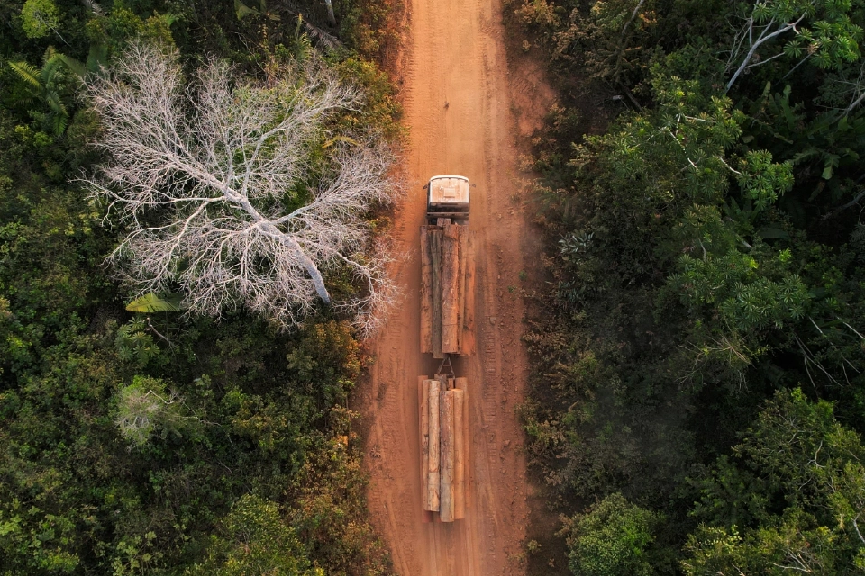 ภาพจากโดรนแสดงให้เห็นรถบรรทุกขนท่อนไม้ในพื้นที่ของชนพื้นเมืองคาซารารี ในเมืองปอร์โตเวลโฮ รัฐรอนโดเนีย ประเทศบราซิล เมื่อวันที่ 12 สิงหาคม 2024 REUTERS
