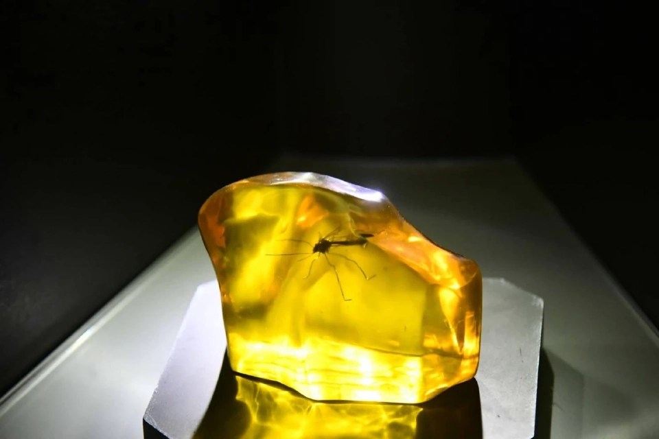 เปิดแล้ววันนี้! จูราสสิค เวิลด์ เอเชียทีค จุดขายใหม่ท่องเที่ยวไทย