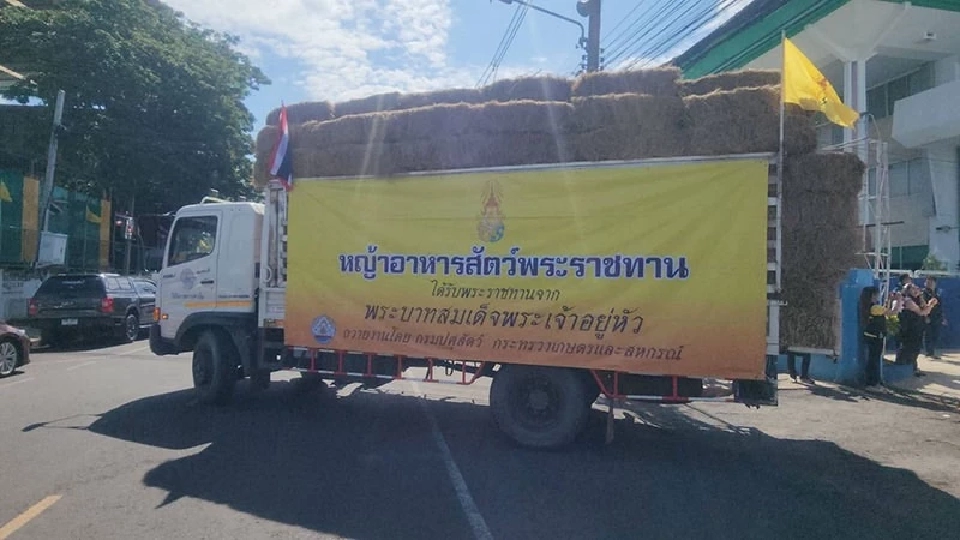 “อรรถกร” ลุยบุรีรัมย์ช่วยชาวนา-สัตว์เลี้ยง หลังปะทะไทย–กัมพูชา พร้อมชง ครม.เยียวยาเพิ่ม