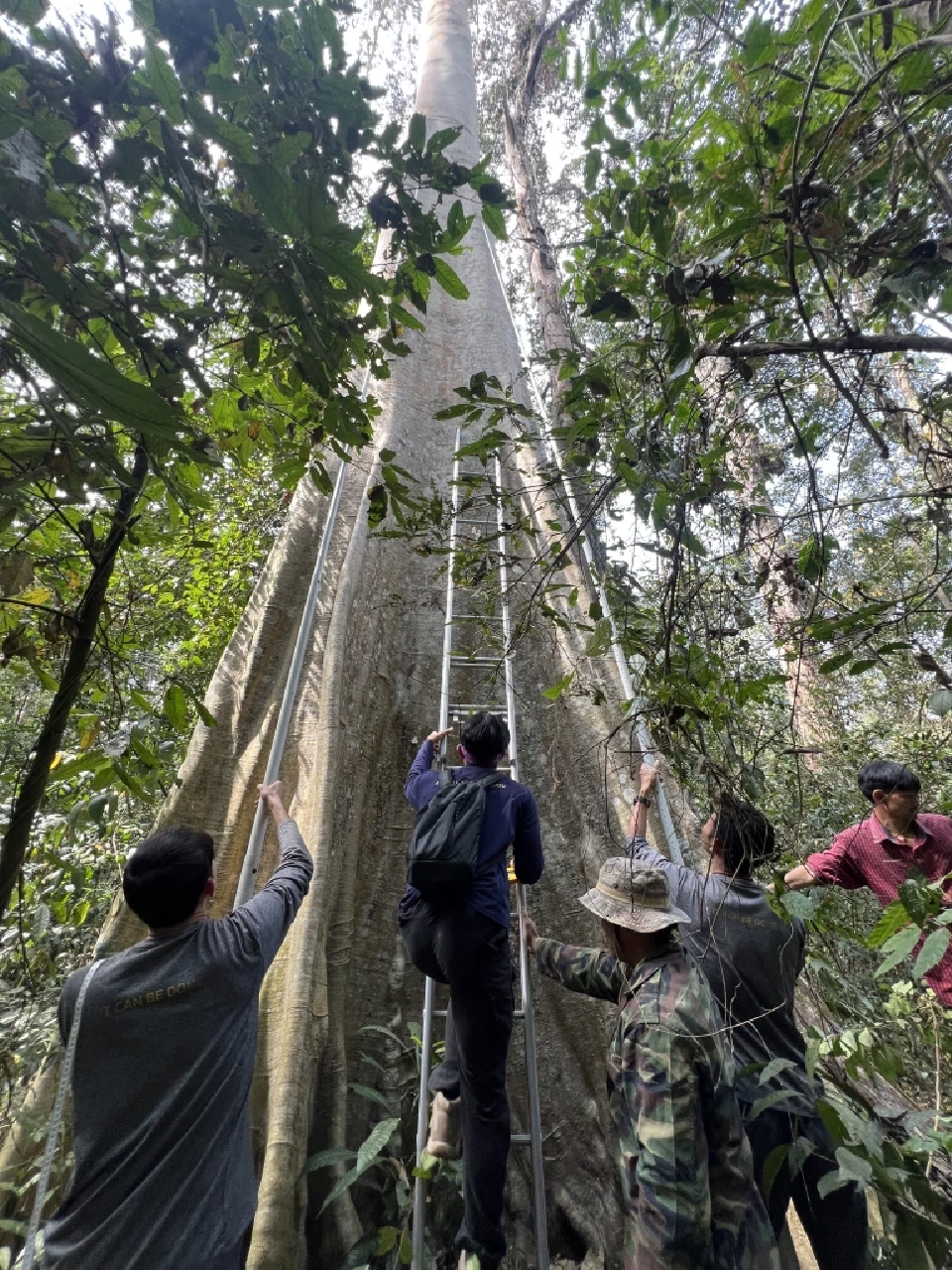 ภาพประกอบข่าว มูลนิธิแม่ฟ้าหลวงฯ เปิดแผนครึ่งปีหลัง 2568 