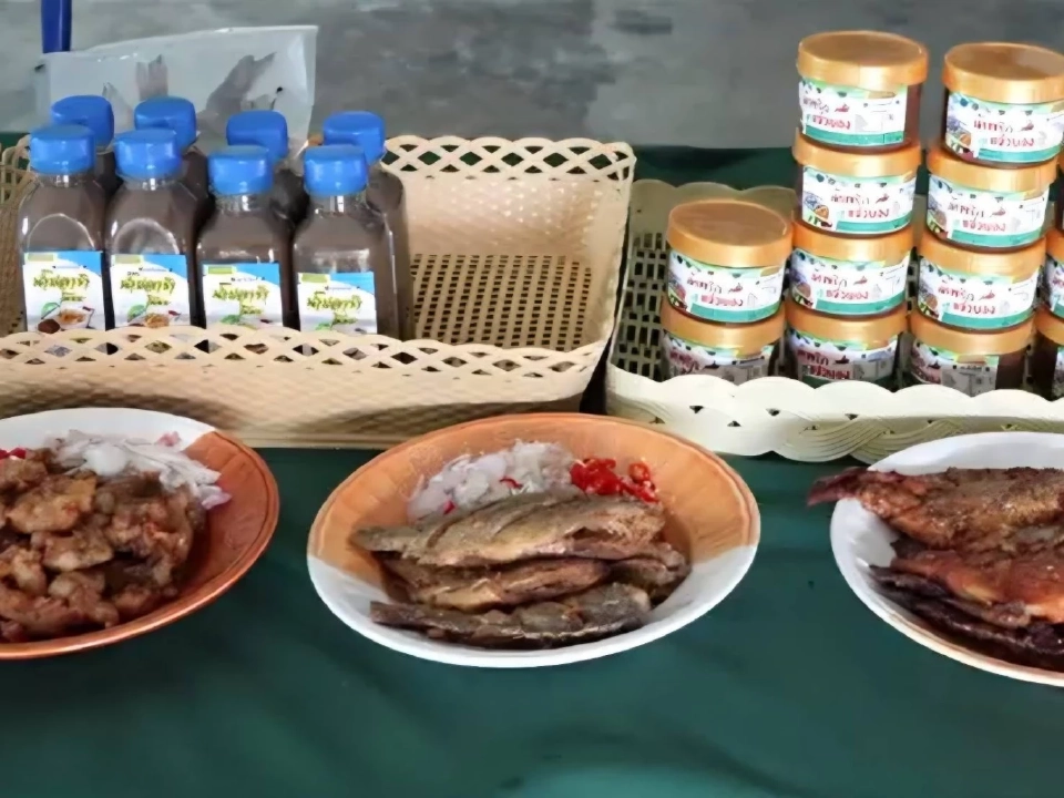 “ปลาหมอคางดำ” กินได้ กำจัดได้ พลิกวิกฤติสร้างรายได้สู่ชุมชนไทย