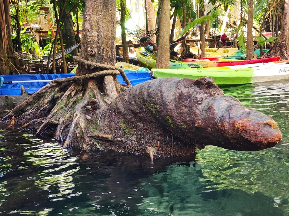 เปิดพิกัด เที่ยวกระบี่ ท่องอ่าวพังงา ตามรอย “Jurassic World”