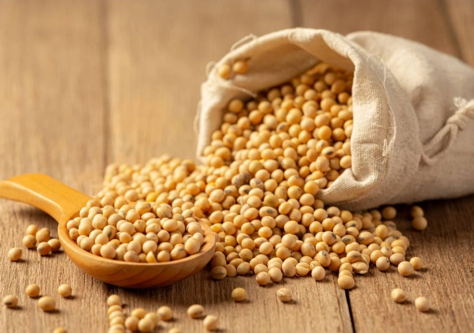 "กากถั่วเหลือง" ดิ่ง 20% ลดต้นทุนปศุสัตว์ หนุนเนื้อคุณภาพ ราคาผู้บริโภคเข้าถึงง่าย